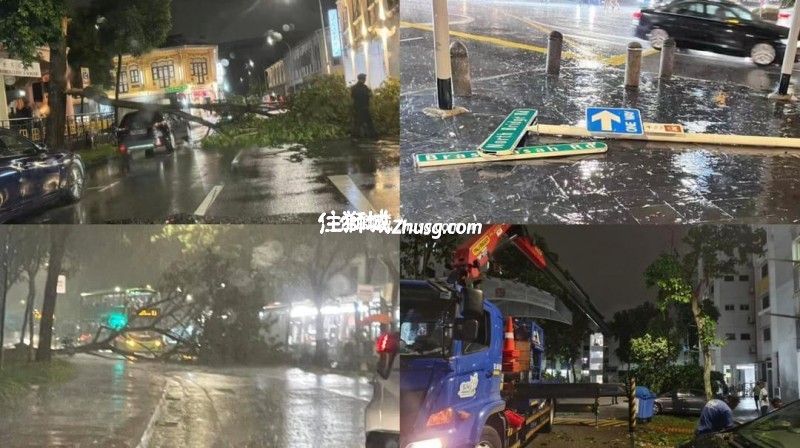 中秋夜狂风大雨树倒压车 异物砸大华银行大厦外玻璃棚